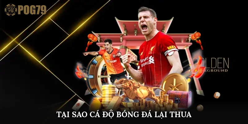 tại sao cá độ bóng đá lại thua